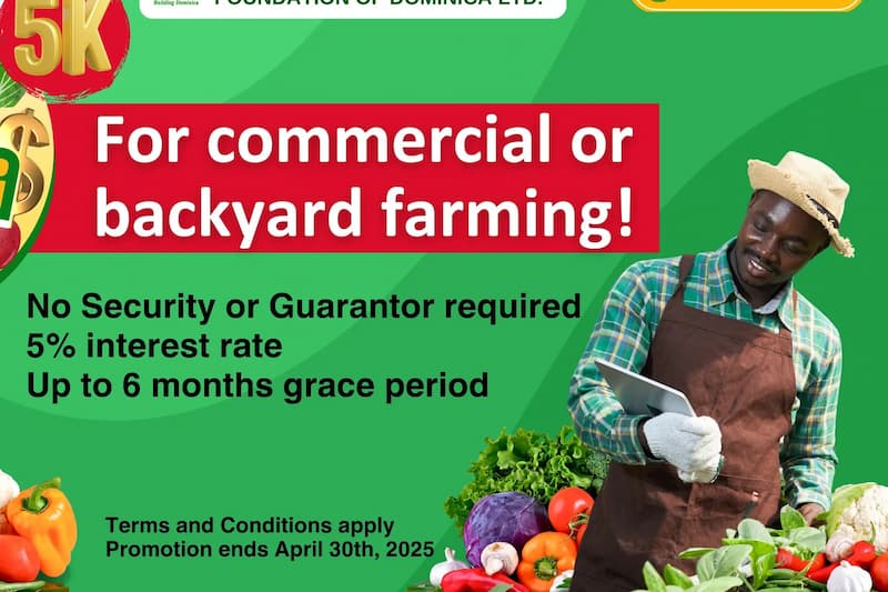 Agricultural Development